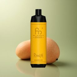 RandM Fumot Shisha 10000 Puffs Glace à la Mangue avec 0,5% de Nicotine et Batterie 850 mAh