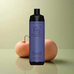 RandM Fumot Shisha 10000 Puffs Menthe Baie avec 0,5% nicotine et batterie 850 mAh