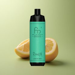 RandM Fumot Shisha 10000 Puffs Menthe Citronnée avec E-liquide 18ml et Batterie 850mAh