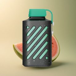 VOZOL GEAR 10000 Puffs Chewing-gum Pastèque 500mAh 20ml