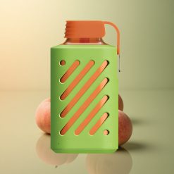 VOZOL GEAR 10000 Puffs Pêche Mangue Pastèque avec 500mAh et 20ml de E-liquide