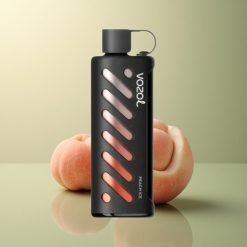 VOZOL Gear Shisha 25000 Puffs Glace à la Pêche Dual Mesh 1000mAh