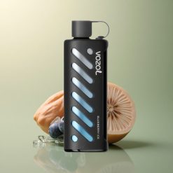 VOZOL Gear Shisha 25000 Puffs Glace Myrtille Dual Mesh 1000mAh