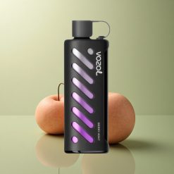 VOZOL Gear Shisha 25000 Puffs Menthe Baie Double Mesh 1000mAh