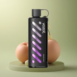 VOZOL Gear Shisha 25000 Puffs Menthe Raisin 5mg/ml Double Mesh 1000mAh