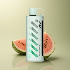 VOZOL Gear Shisha 25000 Puffs Pastèque Menthe Double Mesh 1000mAh
