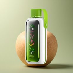 VOZOL Star 20000 Puffs Double Pomme Glacée avec 650mAh et Nicotine 20mg/ml