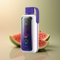 VOZOL Star 20000 Puffs Framboise Pastèque HD Double Mesh 650mAh