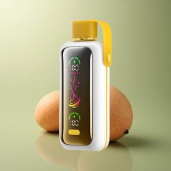 VOZOL Star 20000 Puffs Glace à la Mangue Dual Mesh 650mAh