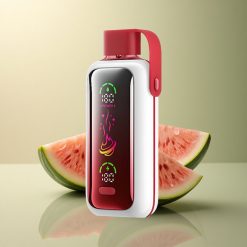 VOZOL Star 20000 Puffs Glace à la Pastèque Dual Mesh 650mAh