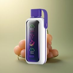 VOZOL Star 20000 Puffs Glace Raisin Double Mesh 650mAh