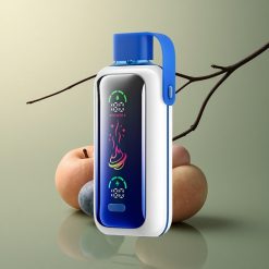 VOZOL Star 20000 Puffs Ouragan Myrtille HD 650mAh Dual Mesh