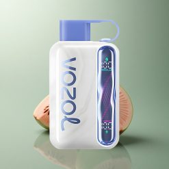 VOZOL STAR 40000 Puffs Glace Bleue Framboise 1000mAh