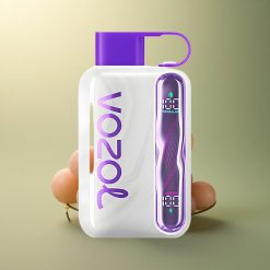 VOZOL STAR 40000 Puffs Glace Raisin 1000mAh 20mg Nicotine