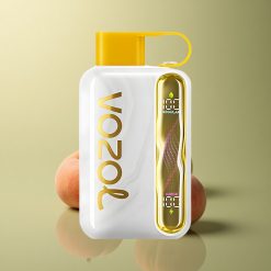 VOZOL STAR 40000 Puffs Mangue Pêche 1000mAh 20mg Nicotine