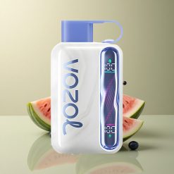 VOZOL STAR 40000 Puffs Pastèque Myrtille 1000mAh 20mg Nicotine