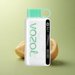 VOZOL STAR 9000/12000 Puffs Citron Menthe Recyclé 650mAh