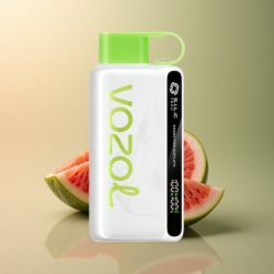 VOZOL STAR 9000/12000 Puffs Fraise Pastèque Recyclé 650mAh