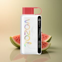VOZOL STAR 9000/12000 Puffs Framboise Pastèque Recyclé 650mAh