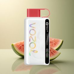 VOZOL STAR 9000/12000 Puffs Glace à la Pastèque Recyclée 650mAh