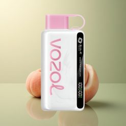 VOZOL STAR 9000/12000 Puffs Glace de Pêche Recyclé 650mAh