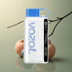 VOZOL STAR 9000/12000 Puffs Tempête Myrtille Recyclé 650mAh