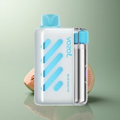 VOZOL VISTA 40000 Puffs Glace Bleue Framboise avec 2% Nicotine et 1000mAh
